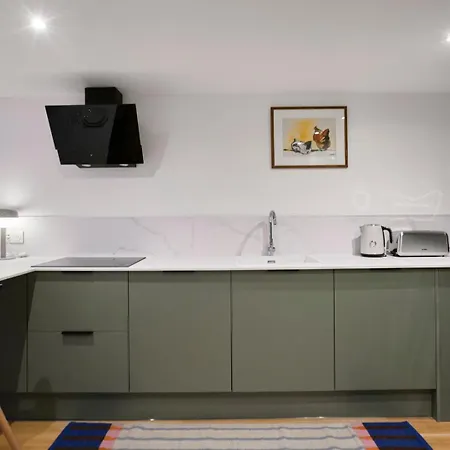 Contemporary Duplex With Two Bedrooms In Old Apartment Lille